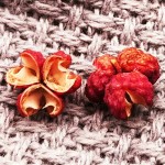 Spice Factory Wholesale New Crop Red Sichuan Pepper for Food Seasoning Sichuan Chili Pepper Read to Ship