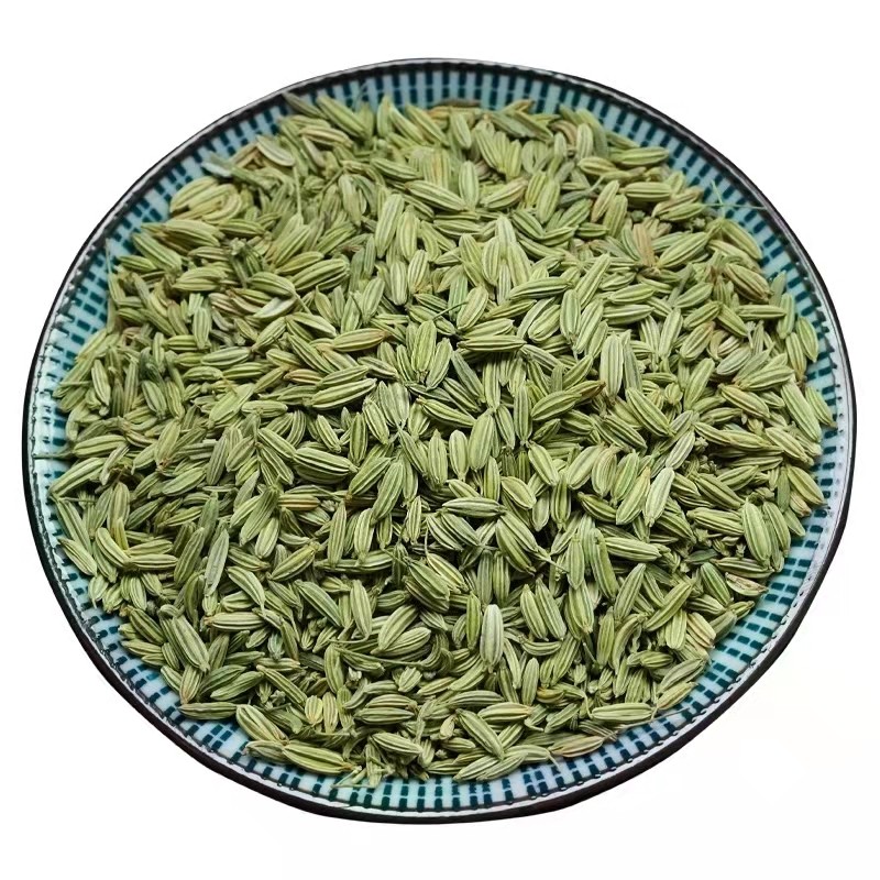 Factory Spices Supplier Wholesale High Grade 100% Natural Dried Indian Green Fennel Seeds