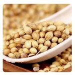 High Quality Coriander Seeds and Spices Wholesale Supply Single Herbs & Spices Product