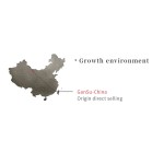 Wholesale Spices Natural Pure  Dried Seasoning Coriander Seeds
