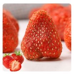High Quality Low-Priced Frozen Strawberry Dried Fruit Wholesale Supply From Origin