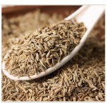 Factory Wholesale Customized Indian Cumin Seed Natural Spice Dried Cumin