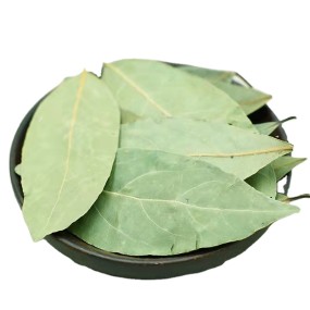 Dried Bay Leaves Whole  Well Dried High Quality Wholesale Spices Laurel Leaf