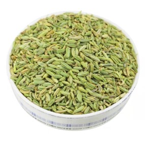 华然批发单一香料和草药新作物低价调味99%茴香种子