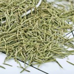 Wholesale  Bulk Herbs Rosemary for Cooking Spices Seasoning Factory Price  Dried Rosemary