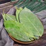 HUARAN Wholesale Single Spices and Herbs Bay Leaves High Quality  Laurel  Leaves Low Price Myrcia Natural  Bay Leaf