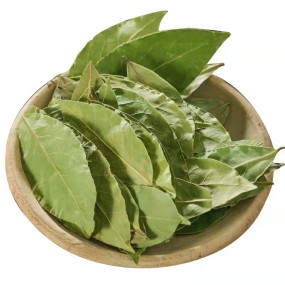 Laurel Leaves Factory Wholesale Food Grade Good Price Chinese Dried Bay Leaf