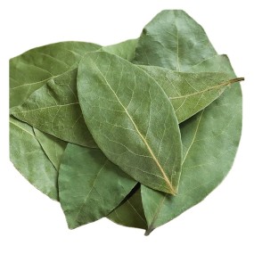 Directly Sourced High Quality Bay Leaves Single Spices & Herbs Wholesale From China's Largest Marketplace