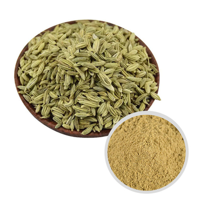 Organic Fennel Seeds Wholesale Spices 100% Natural High Quality Fennel Seeds Seasoning Spice