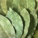 Laurel Leaves Factory Supply High Quality Wholesale Natural Spices Seasoning Dried Laurel Leaf Bay Leaf