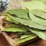 Laurel Leaves Factory Wholesale Food Grade Good Price Chinese Dried Bay Leaf