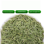 Huaran Moxa Chrysanthemum Dry Goods Western Steak Ingredients Spices Barbecue Seasoning Dried Green Rosemary Leaf for Cooking