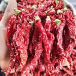 Huaran Guizhou Sichuan Erjingtiao Cayenne Long Dried Red Chilli Pepper for Food Seasoning