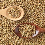 HUANRAN Wholesale Bulk Spices Herbs Products Pure Nature Seasoning Customize  Coriander Powder Dried Coriander Seeds