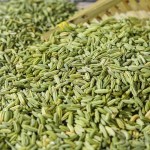 Huaran Factory Wholesale Low Price New Importers Spice Fennel Seeds