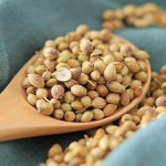 High Quality Coriander Seeds and Spices Wholesale Supply Single Herbs & Spices Product