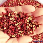 Red Pepper  Bulk High Quality Wholesale Spices 100% Natural Seasoning Red Sichuan Peppercorn