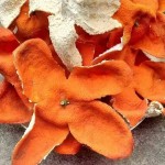 China Cheap Price Dried Tangerine Peel Fruit Slice Dried Orange Peel for Herbal Tea