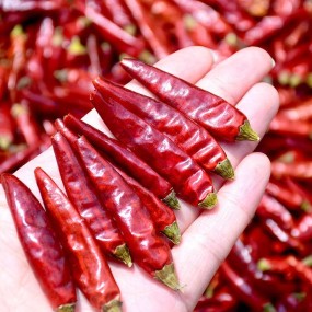 Red Chili Hot Pepper Natural Spicy Stemless Dried Chilli at Wholesale Price