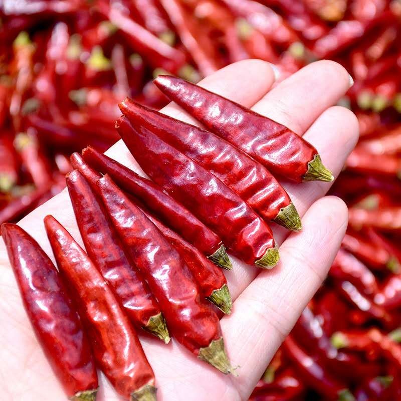 Red Chili Hot Pepper Natural Spicy Stemless Dried Chilli at Wholesale Price