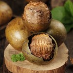 HUARAN Factory Wholesale All Size of Sweet  Monk Fruit From Guangxi Origin Mogroside V Extract Monk Fruit