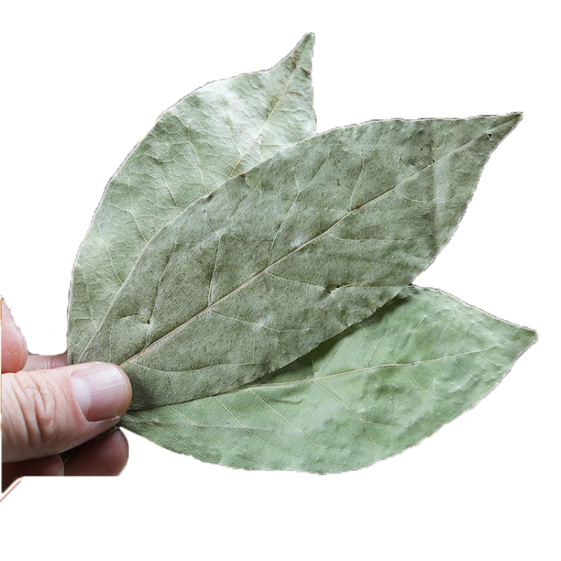 Huaran Yulin Guangxi China Wholesale Seasoning Combinations Spices Laurel Dried Chinese Bay Leaf for Cooking