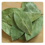 High-Quality Bulk Wholesale Bay Leaves Spices for Long-Term Supply