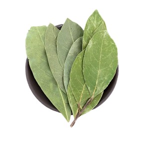HUARAN Wholesale Single Spices and Herbs High Quality Dry New Crop Low Price Myrcia Natural  Bay Leaf Bay Leaves