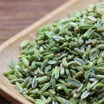 Factory Whole Spices Supplier Wholesale Price High Quality Green Fennel Seeds