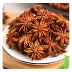 Huaran Premium Quality Star Anise China Origin Wholesale Single Spices  for Cooking Latest Season Low Price