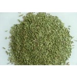 Huaran Chinese Spice Wholesale  Origin Direct Selling High Quality Domestic Special Whole Fructus Foenicu Green Fennel Seeds