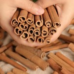China Original Factory Supplier High Quality Cassia Cinnamon Stick  for Cooking Spicy Product
