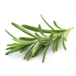 Factory Wholesale Customized  Rosemary Leaves Spices Bulk Natural Spices Dry Rosemary