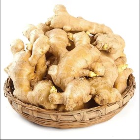 Ginger   Huaran Factory Offers Wholesale of Low-priced and High-quality New in Large Quantities.