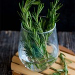 Wholesale Spices Strip Rosemary Chinese Premium Natural Dry Herbs Rosemary Leaves Dried Rosemary