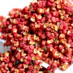 Wholesale Price Factory Supplier Spices Peppercorn Sichuan Red Pepper
