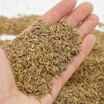 Factory Wholesale Customized Cooking Organic Cumin Seeds China Herbs and Spices Cumin and  Cumin Seeds