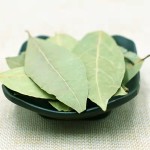 Factory Wholesale Spices Bay Leaves Production Dried Bay Leaf Georgia Laurel Leaves