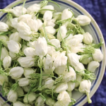 Huaran Produces Jasmine Tea Handpicked Naturally Dried Direct From the Manufacturer Wholesale Prices