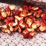 Wholesale Chinese Spices and Seasonings Delicious Single Spices  Red Pepper China Famous Sichuan Pepper