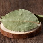 Natural New Dried Whole Laurel Leaf Wholesale Price for Spice Export Dried Laurel Leaves Bay Leaf