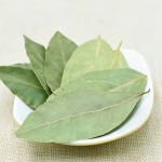 Factory Wholesale Spices Bay Leaves Production Dried Bay Leaf Georgia Laurel Leaves