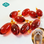 Pet Krill Oil Capsules Manufacturer - OEM Omega Softgels Phospholipids