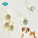 Pet Algal Oil Capsules Factory - OEM DHA Omega 3 Cats Dogs