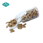 Iron Supplement Capsules Supplier - Delayed Release Ferrous Complex