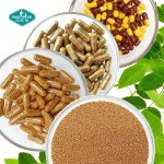 Multi Vitamin Capsules Supplier - Controlled Release Microbead Zinc