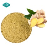 姜提取物粉源头工厂-10:1姜辣素根油树脂