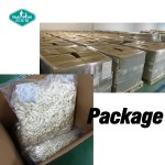 益生菌胶囊供应商-1000亿CFU纯素补充剂