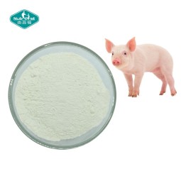 Chondroitin Sulfate Powder Manufacturer - Joint Support Bovine Porcine