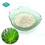 锯棕榈粉供应商-25% 45%脂肪酸提取物